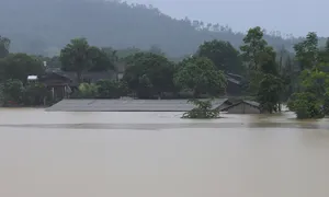 Mất trắng tài sản sau vỡ đê sông Lô