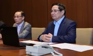 Thủ tướng chủ trì họp trực tuyến từ Algeria để ứng phó mưa lũ